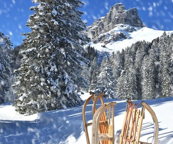 Haus Altein Nr. 4 Apartmán Davos